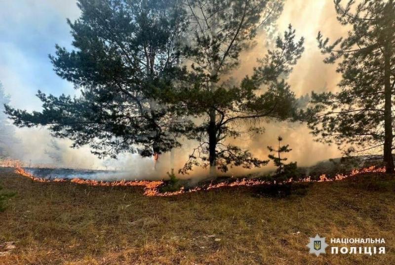 Ліси Ізюмщини все ще охоплені полум'ям.