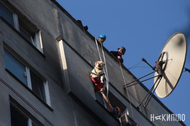 У Харкові рятувальники врятували чоловіка разом із його собакою, які опинилися на 12-му поверсі - Головні новини України.