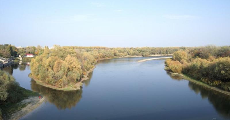 Забруднення річки Десна досягло території Київської області: чи варто побоюватися наслідків?