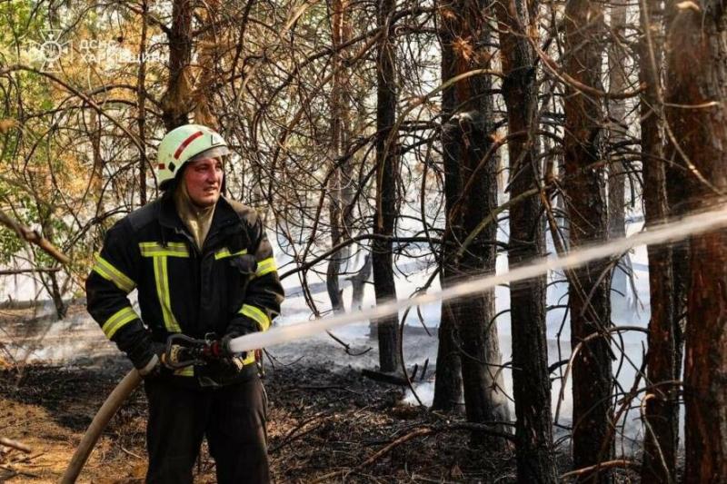 Лісові пожежі ставлять під загрозу ще одне село. Розпочато процес евакуації мешканців.