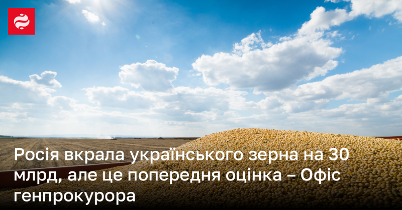 Російська Федерація викрала українське зерно на суму близько 30 мільярдів гривень, проте це лише попередня оцінка, повідомляє Офіс генерального прокурора.