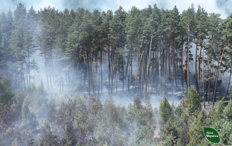 Частина природних ресурсів України не може бути відновлена через військові дії, - зазначає еколог Листопад.